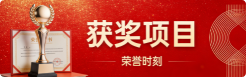 获奖项目
